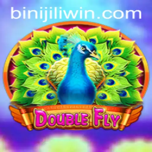 DoubleFly: An Exciting Twist with Binijili Adventures